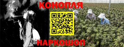 стафф Дубна