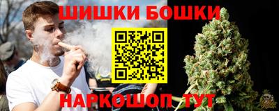 стафф Дубна