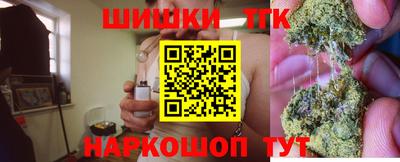 стафф Дубна