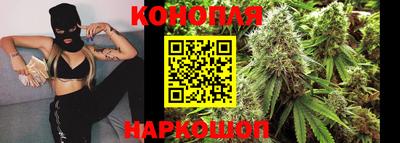 стафф Дубна