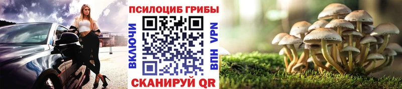 Псилоцибиновые грибы GOLDEN TEACHER  Вятские Поляны 